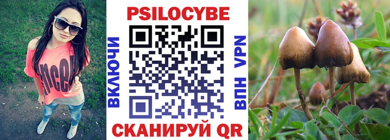 Псилоцибиновые грибы GOLDEN TEACHER  Фролово 